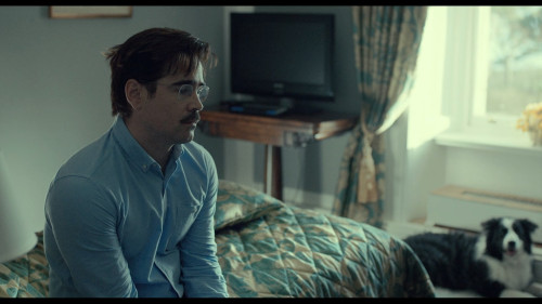 The.Lobster.2015.1080p.NF.WEB-DL.DDP5.1.H264Argon-.mkv_snapshot_00.08.39.646.jpg
