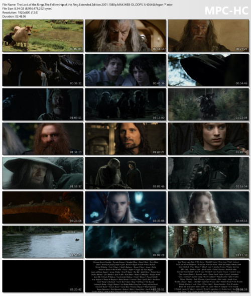 The.Lord.of.the.Rings.The.Fellowship.of.the.Ring.Extended.Edition.2001.1080p.MAX.WEB-DL.DDP5.1.H264Argon-.mkv_thumbs.jpg