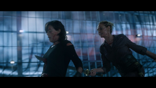 The.Old.Guard.2.2025.1080p.NF.WEB-DL.DDP5.1.H264Argon-.mkv_snapshot_01.31.44.445.jpg