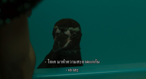 The.Penguin.Lessons.2024.1080p.AMZN.WEB-DL.DDP5.1.H264Argon-.mkv_snapshot_00.24.40.826.jpg