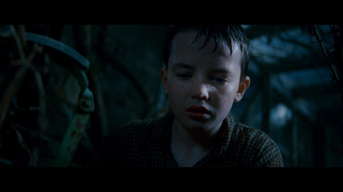 The.Water.Horse.Legend.of.the.Deep.2007.1080p.NF.WEB-DL.DDP5.1.H264Argon-.mkv_snapshot_00.13.13.715.jpg