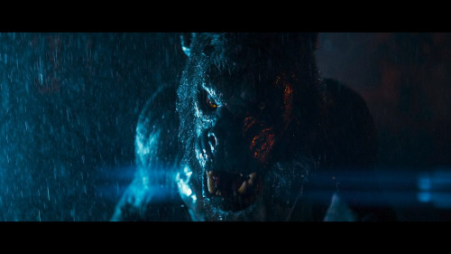 Werewolves.2024.1080p.NF.WEB-DL.DDP5.1.H264Argon.mkv_snapshot_01.18.50.619.jpg