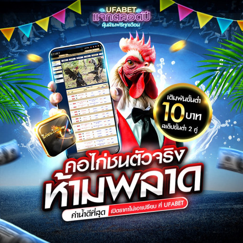 ไก่