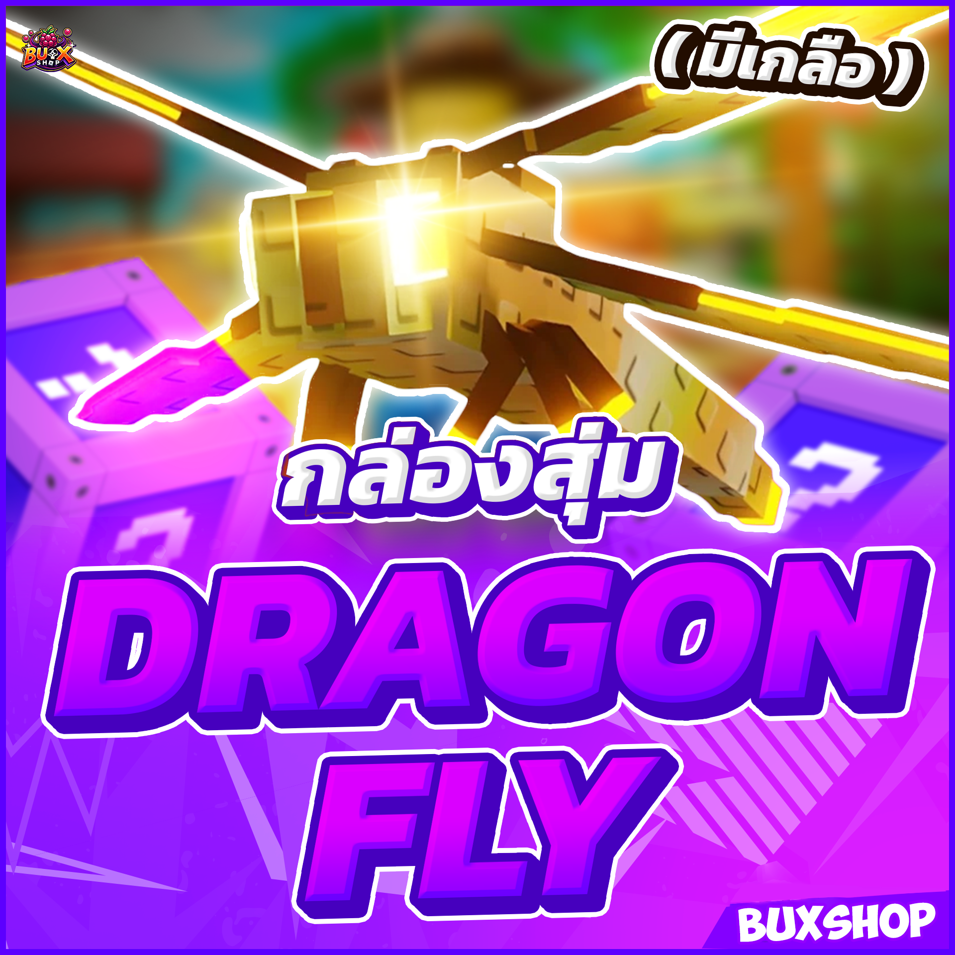 กล่องสุ่ม Dragon Fly