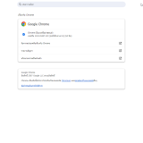 chrome_H7YjVffpDD