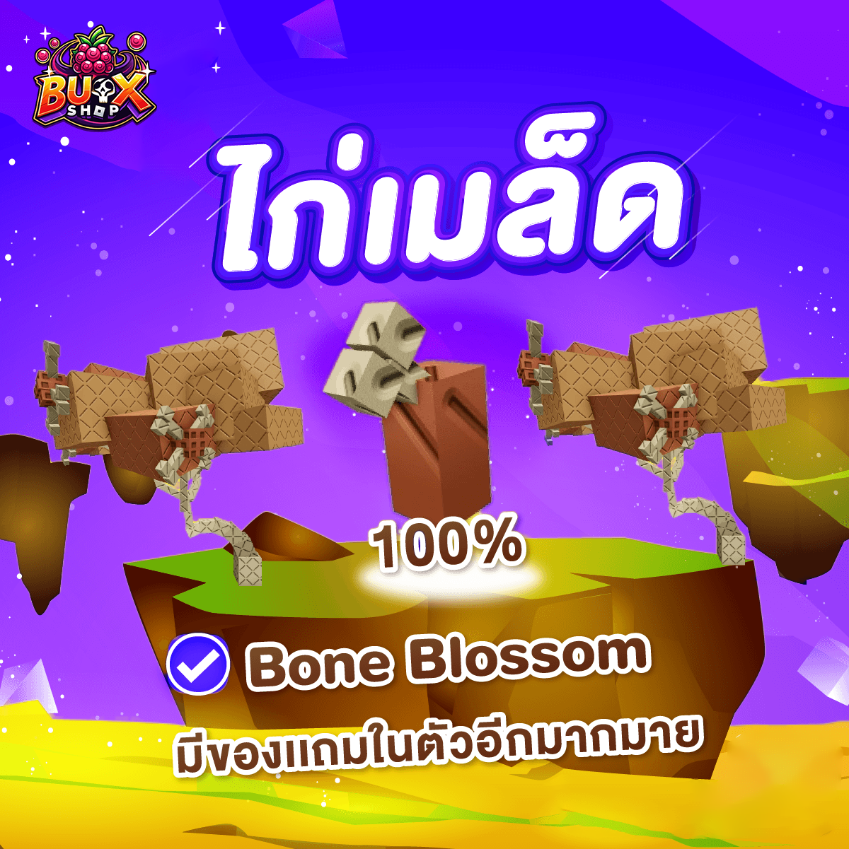 ไก่เมล็ด Bone Blossom🦴