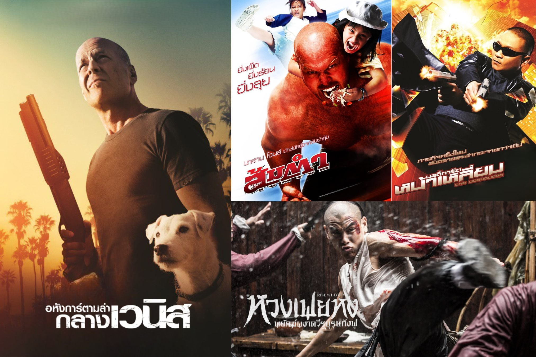 หนังดีมีให้ดูทั้งวัน!ทรูโฟร์ยูขนทัพความบันเทิงไทย-เทศครบรสเสิร์ฟถึงหน้าจอ 21มิ.ย