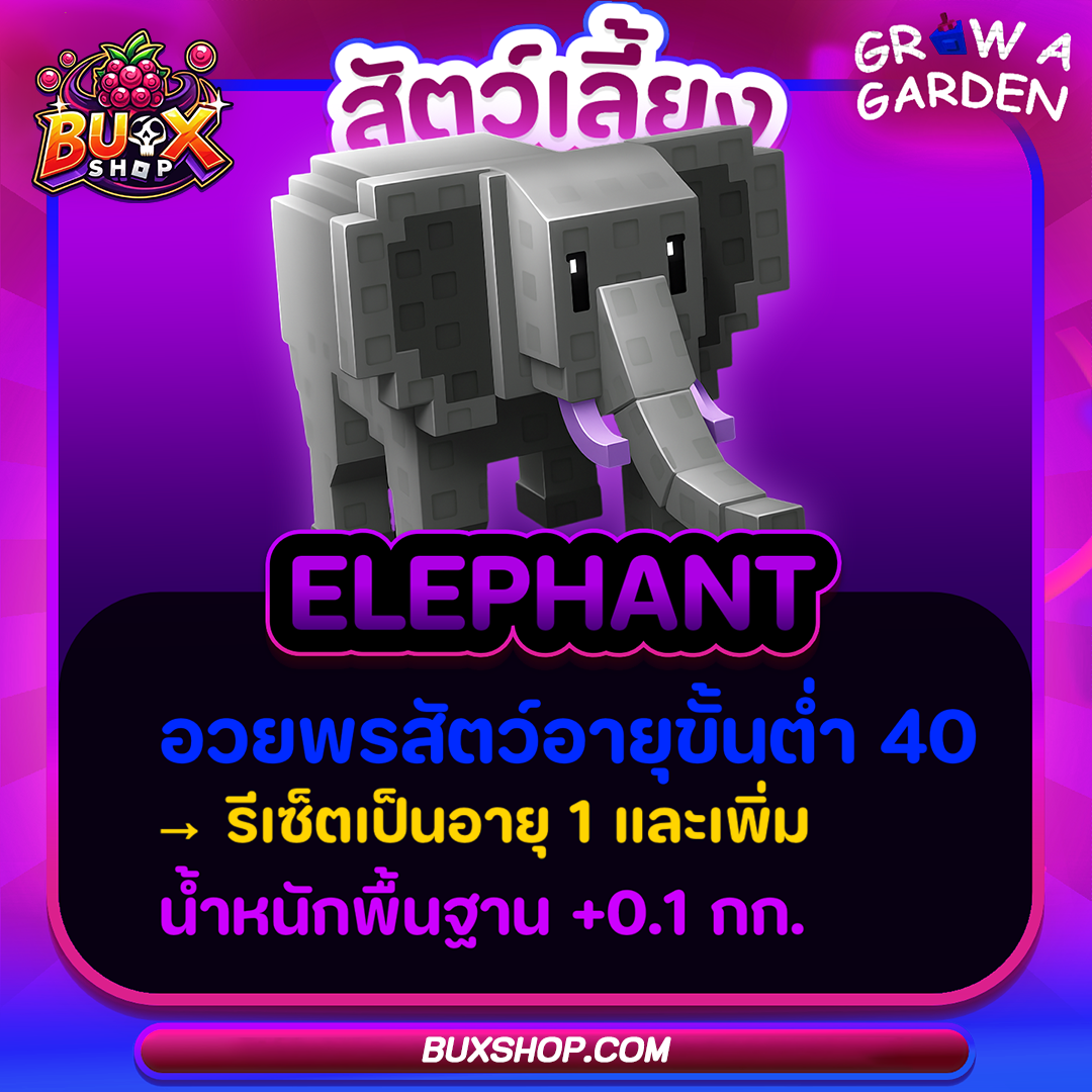 Elephant 🐘