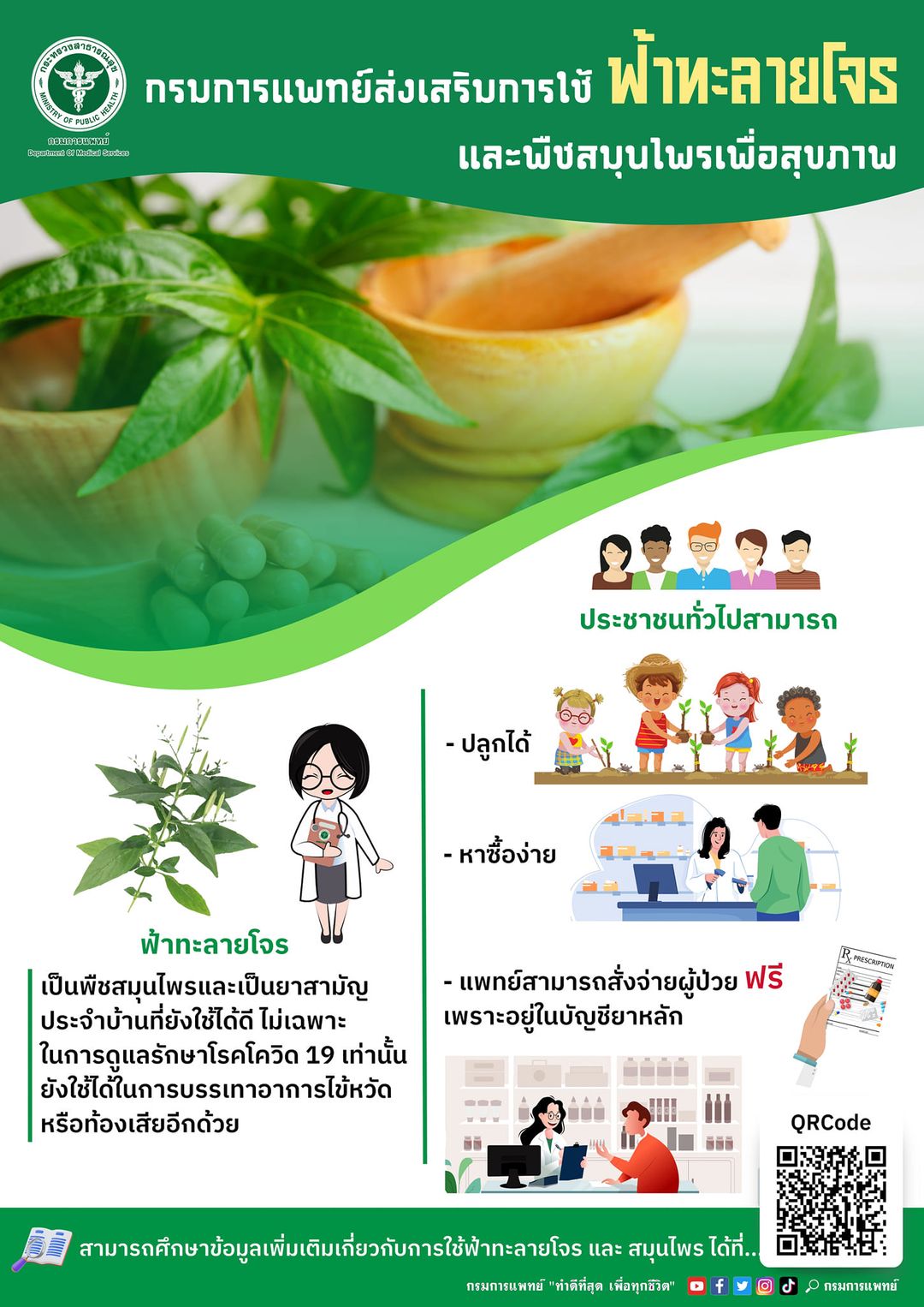 กรมการแพทย์สุขส่งเสริมการใช้ฟ้าทลายโจรและพืชสมุนไพรเพื่อสุขภาพ