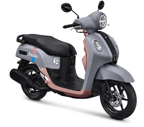 fazzio std 2025