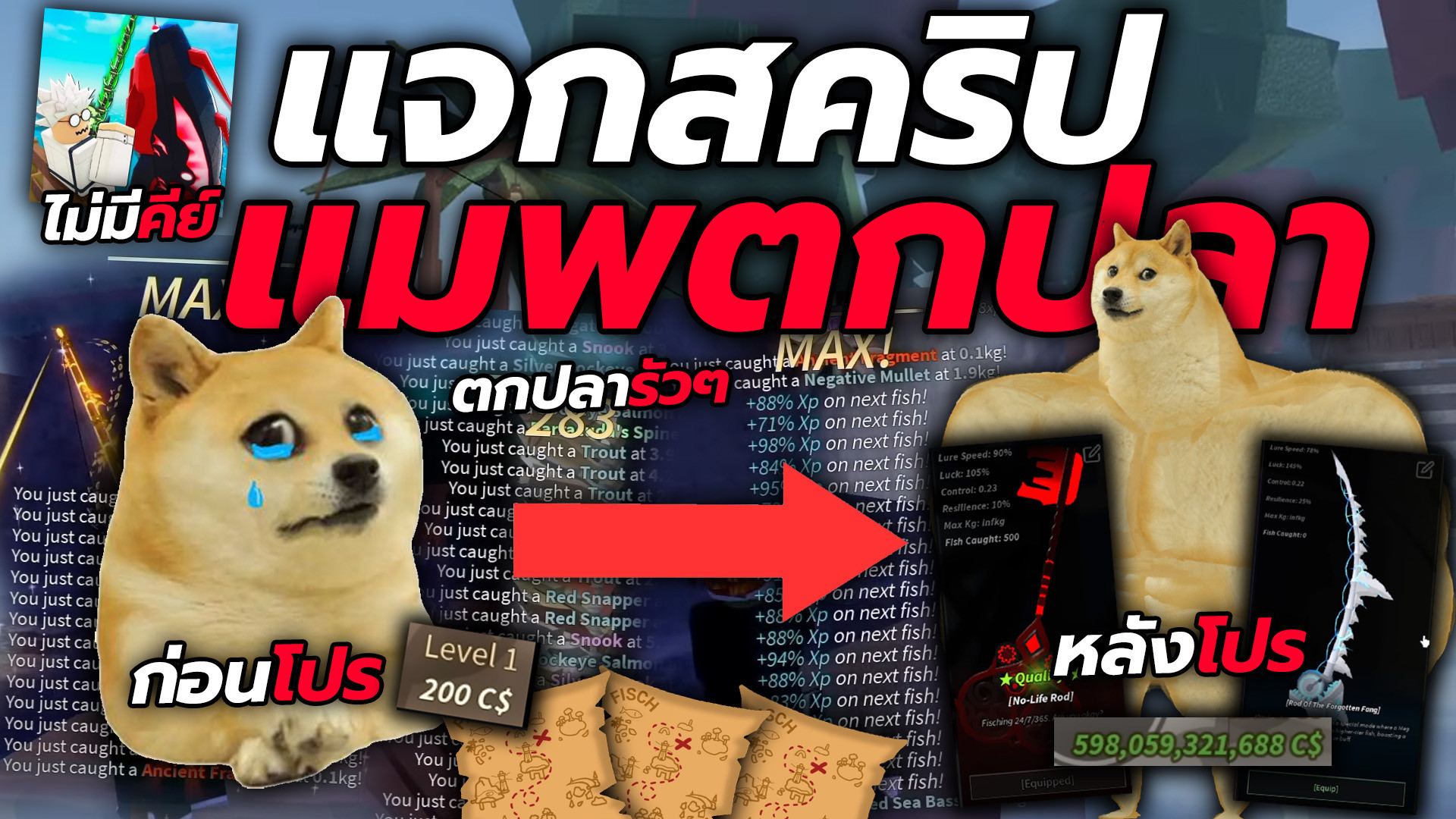 สคริปตกปลา Fisch Cupink ไม่มีคีย์ ออโต้ตกปลาไว ฟาร์มเงิน วาปเก็บสมบัติ