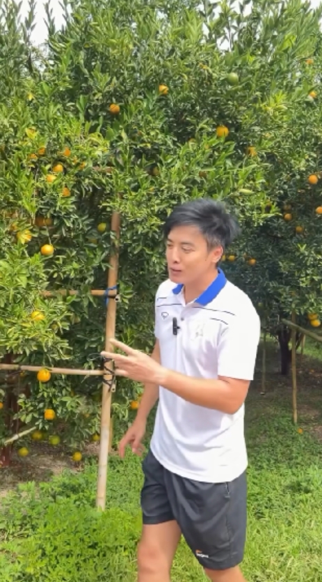 gal 9751650 20250305114107 1b7e1b5