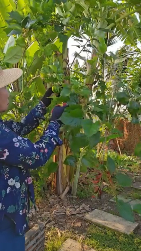 gal 9760966 20250311063027 0716a43