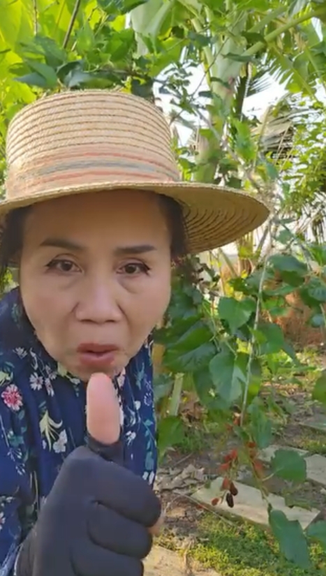 gal 9760966 20250311063027 36e9fb3