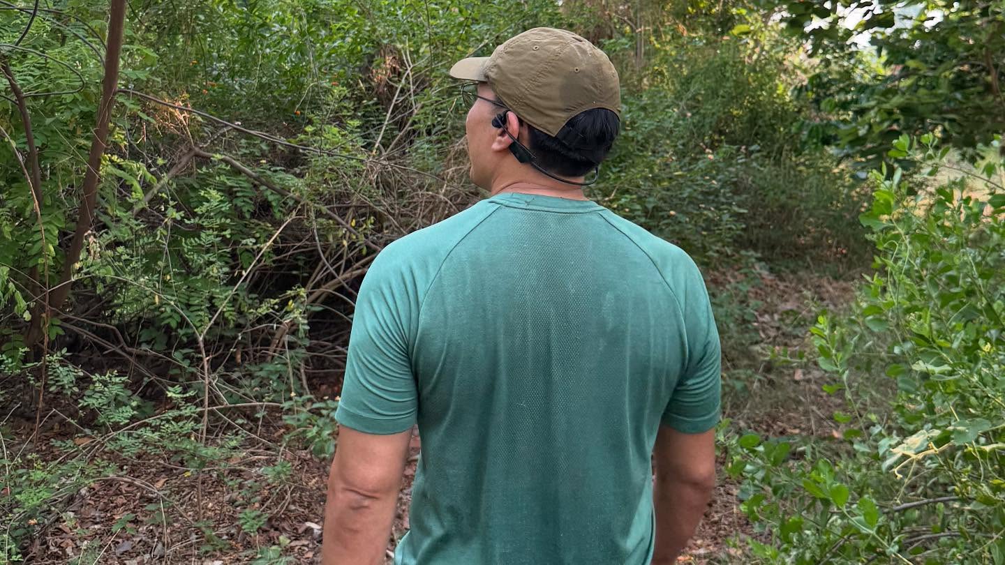 gal 9769554 20250325032542 c7f04e4