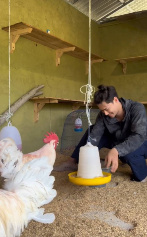 gal 9770862 20250328110141 426c0d5