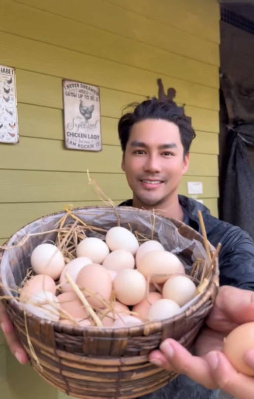 gal 9770862 20250328110142 48a72b3