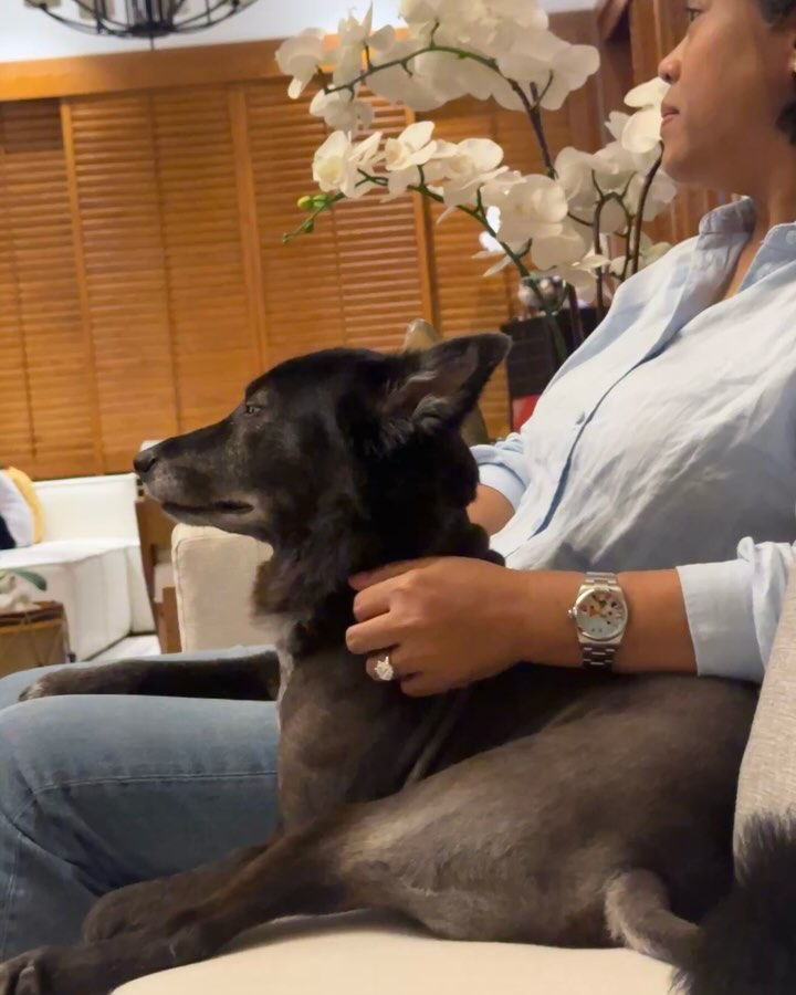 gal 9774078 20250405094640 3f0df84