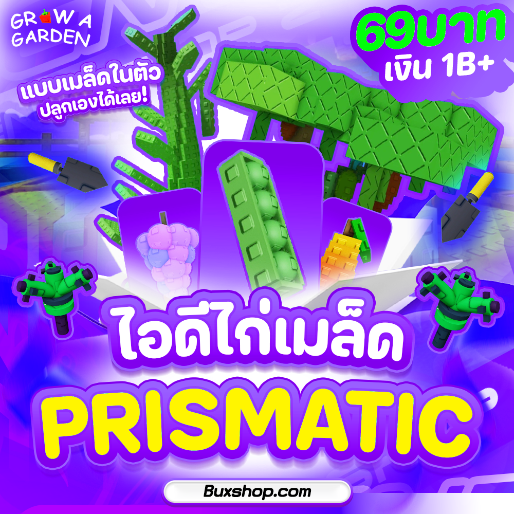 ไอดีไก่เมล็ดระดับ Prismatic+Divine