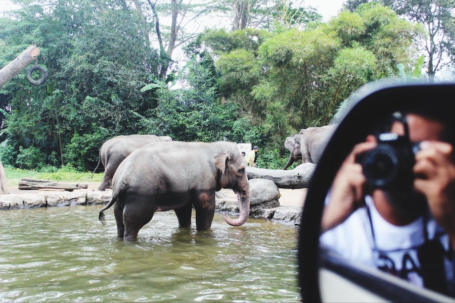 Ethical Elephant Sanctuary in Pattaya