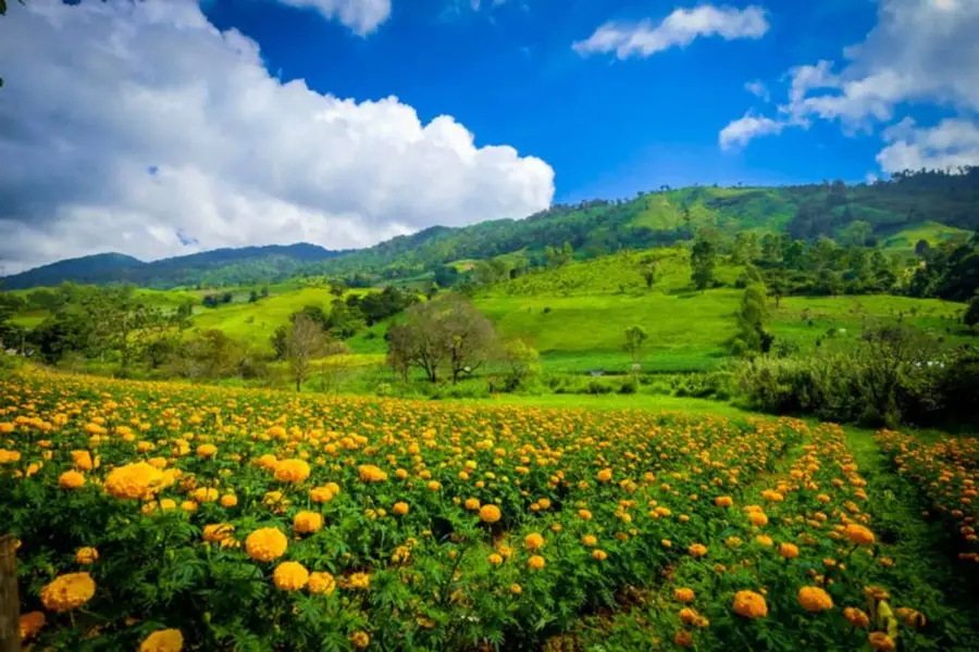 แนะนำที่พักตาก