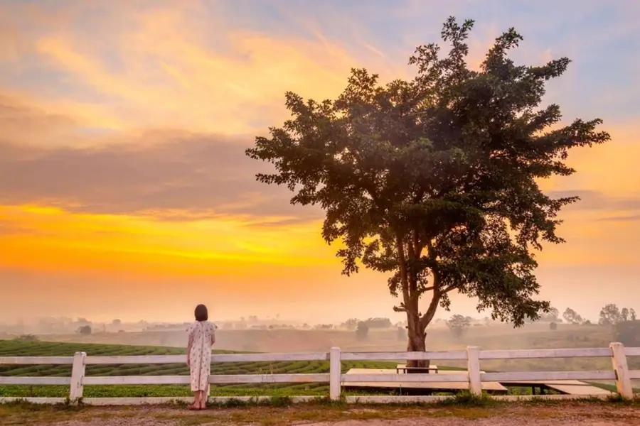 แนะนำที่พักดอยช้าง