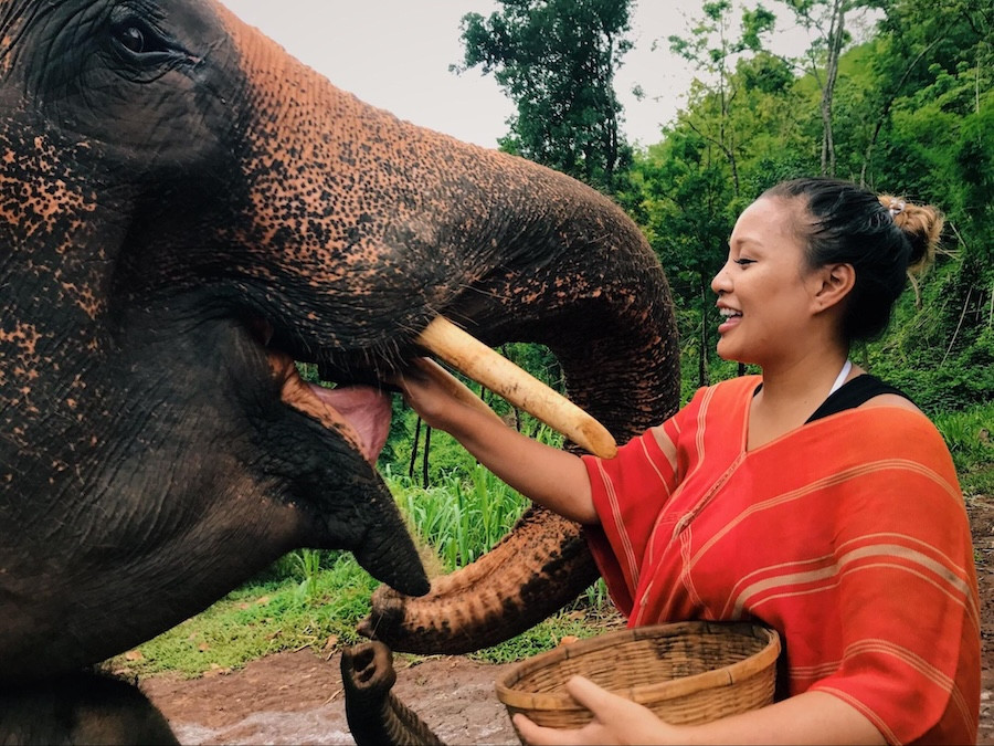 Ethical Elephant Sanctuary Chiang Mai