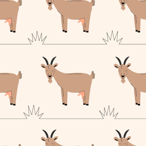 imageb6c28f6a2ed6822d.png