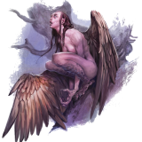 imagecae2b905d49dd5fb
