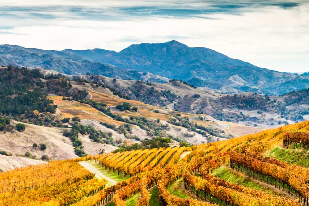 Sonoma Valley