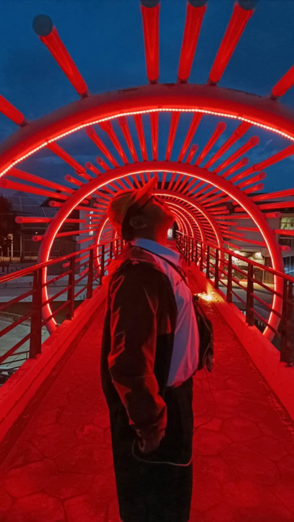 ต้นกล้า