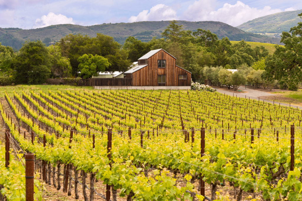 Sonoma Valley
