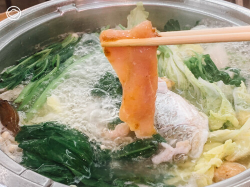 living eat history suki 8