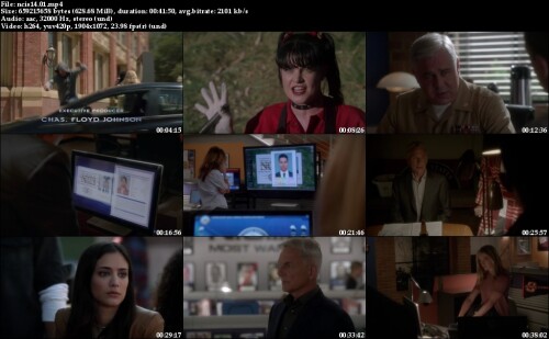 ncis14.01.jpeg