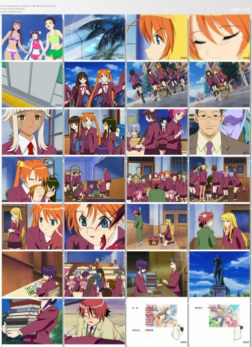 negima2005.jpg