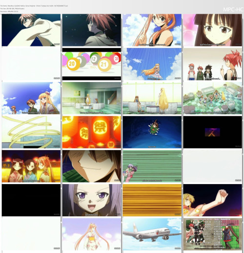negima2008.jpg