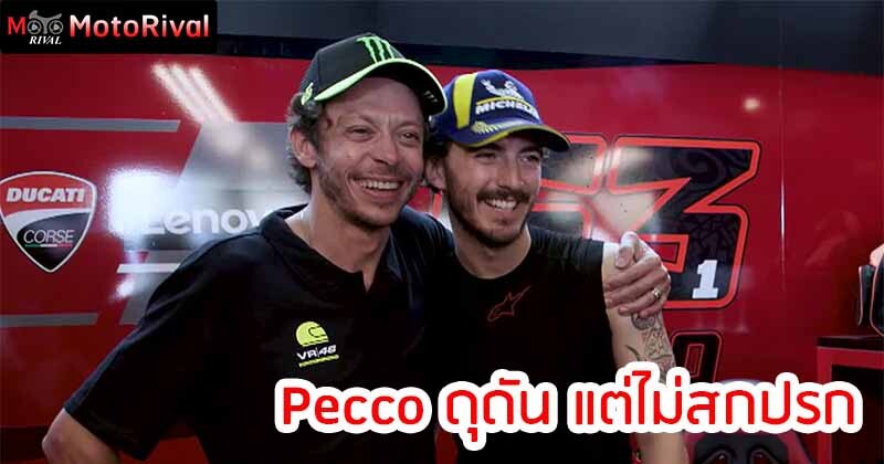 pecco aggressive not dirty