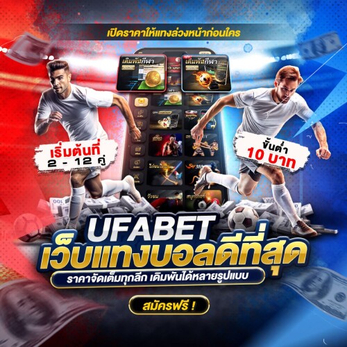 photo ๒๐๒๕ ๑๑ ๐๕ ๑๗ ๔๓ ๒๕