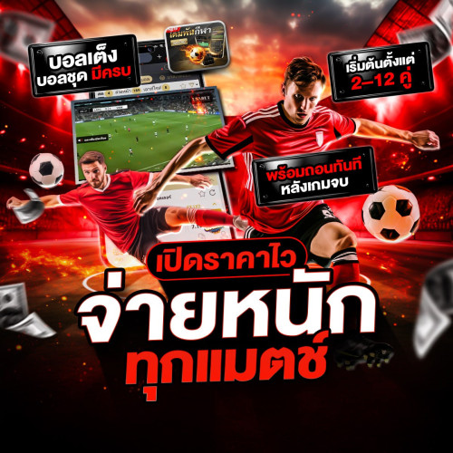 photo ๒๐๒๕ ๑๑ ๐๕ ๑๗ ๔๓ ๒๔