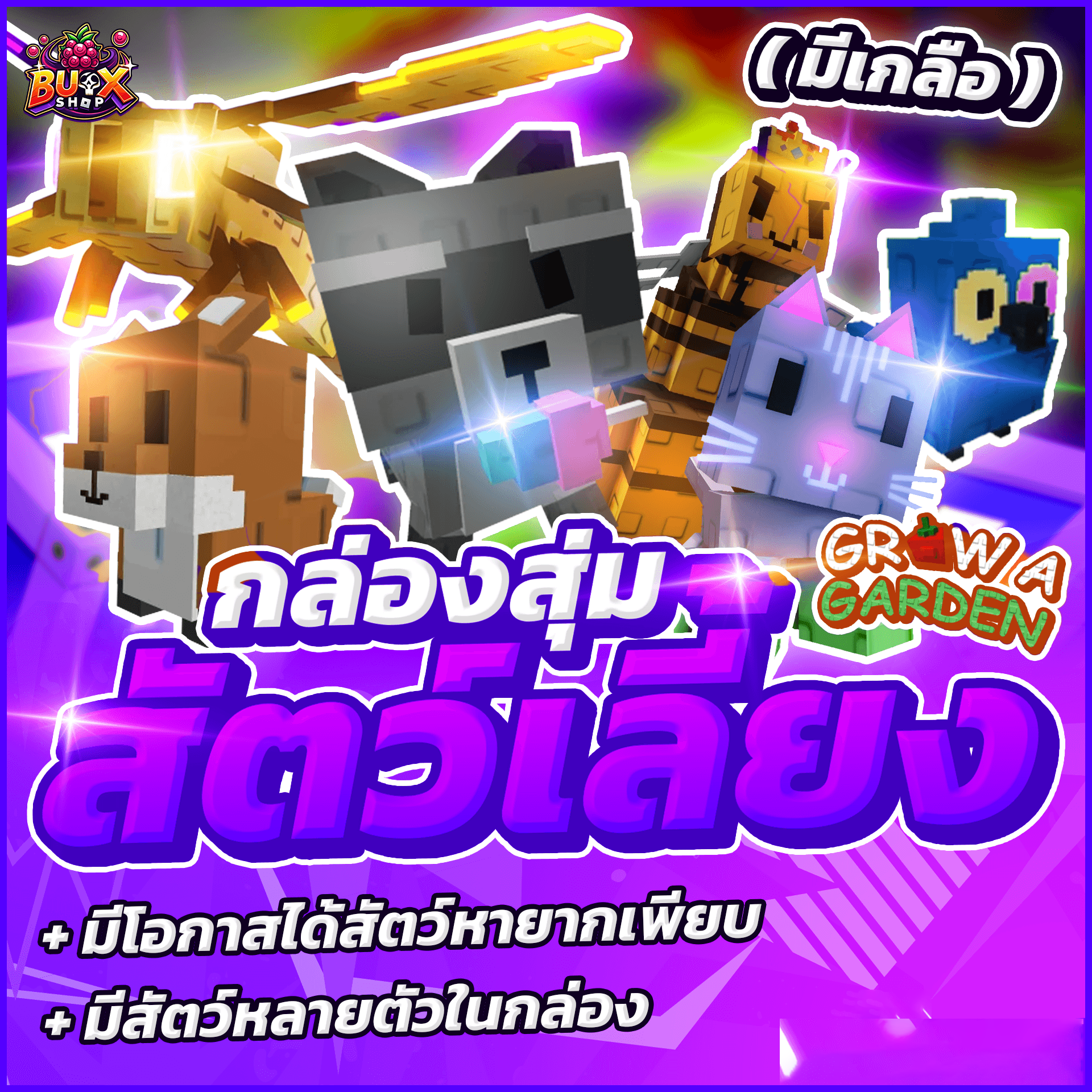 กล่องสุ่มสัตว์เลี้ยง