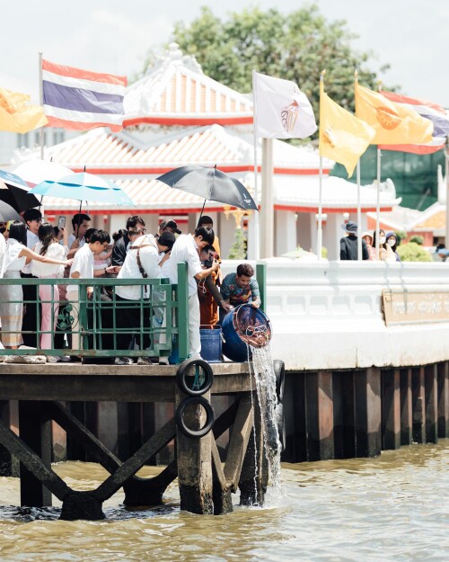 sammycowelll 1718544644 3391720764901058992 8222246