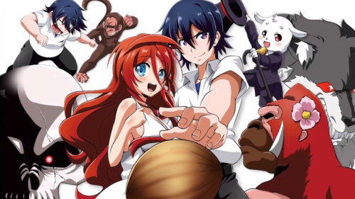 shinka0.jpg