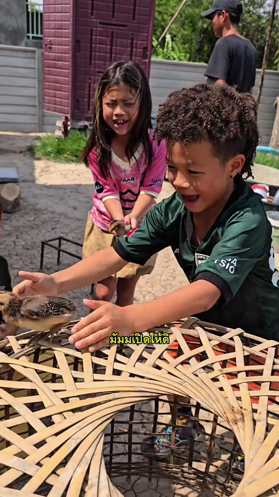 snaptik 7506360017528950037 mp4 000062133