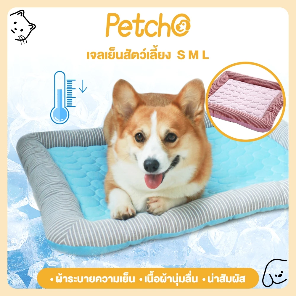 สินค้า