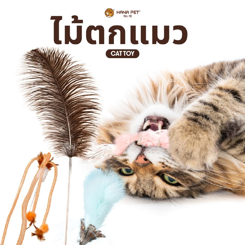 สินค้า