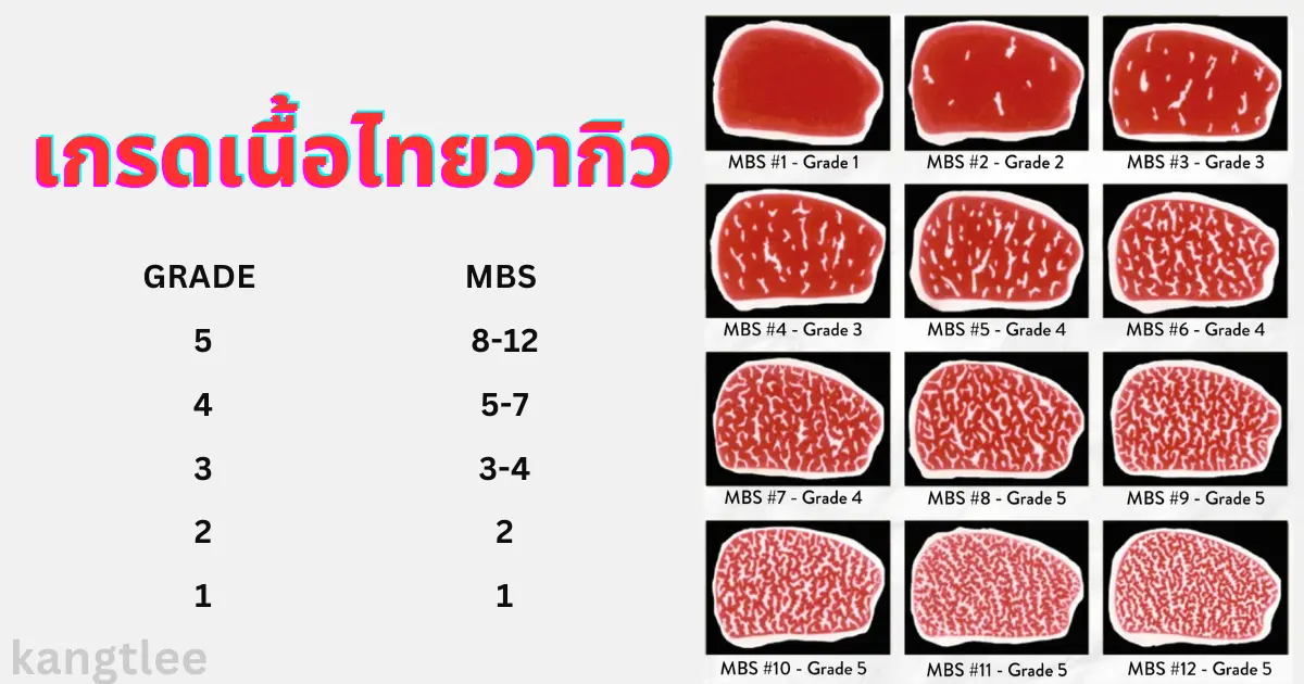 เกรดของเนื้อไทยวากิว