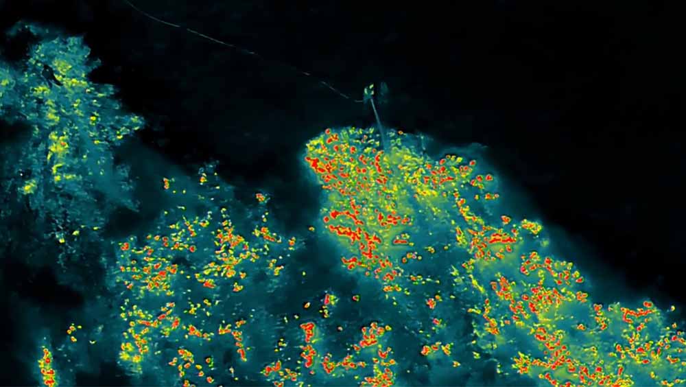 โดรนกู้ภัย