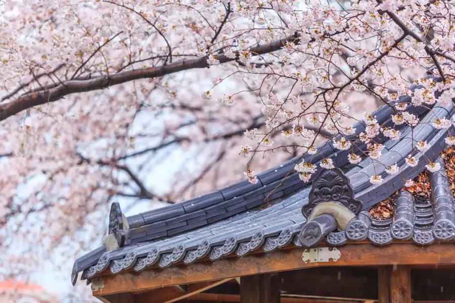 ที่พักโซล