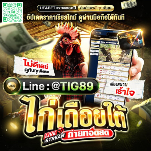 แทงไก่ชน