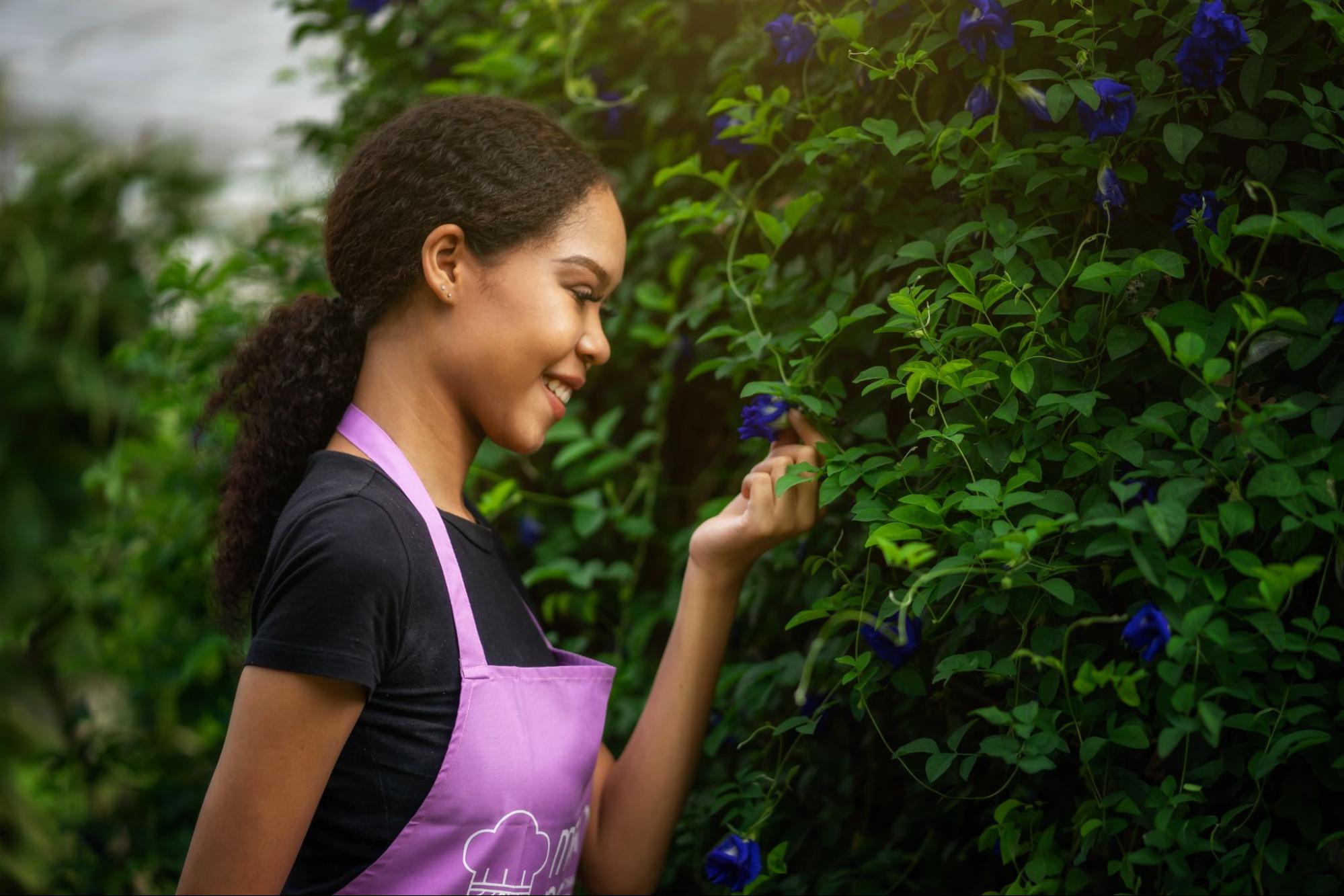 Vegetarian Cooking Class Chiang Mai Offers